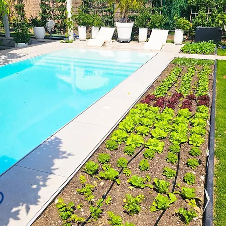 Luxurious Large With Pool, Garden, Koi Pond דירה מינכן